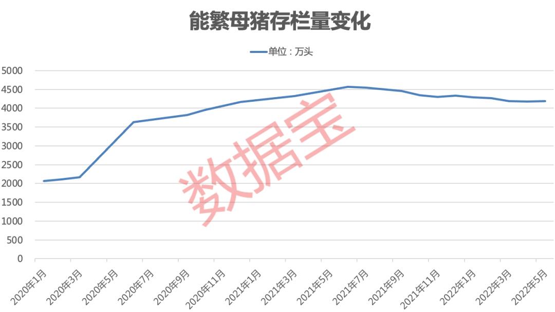 管家波一肖一码100精准|词语释义解释落实